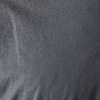 elephant.